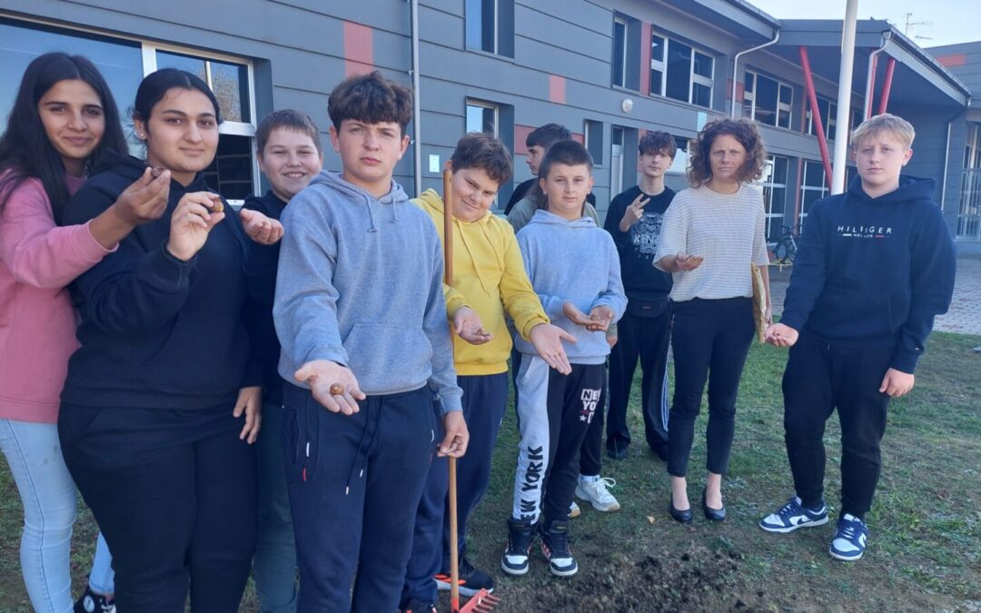 OSMAŠI NASTAVLJAJU S PROJEKTOM SADNJE ŽUTIH ŠAFRANA